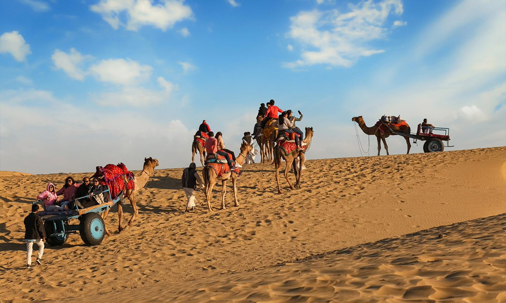 Jaisalmer - Feed the Camels