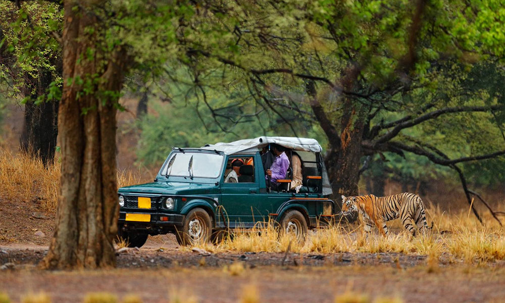 Ranthambore National Park