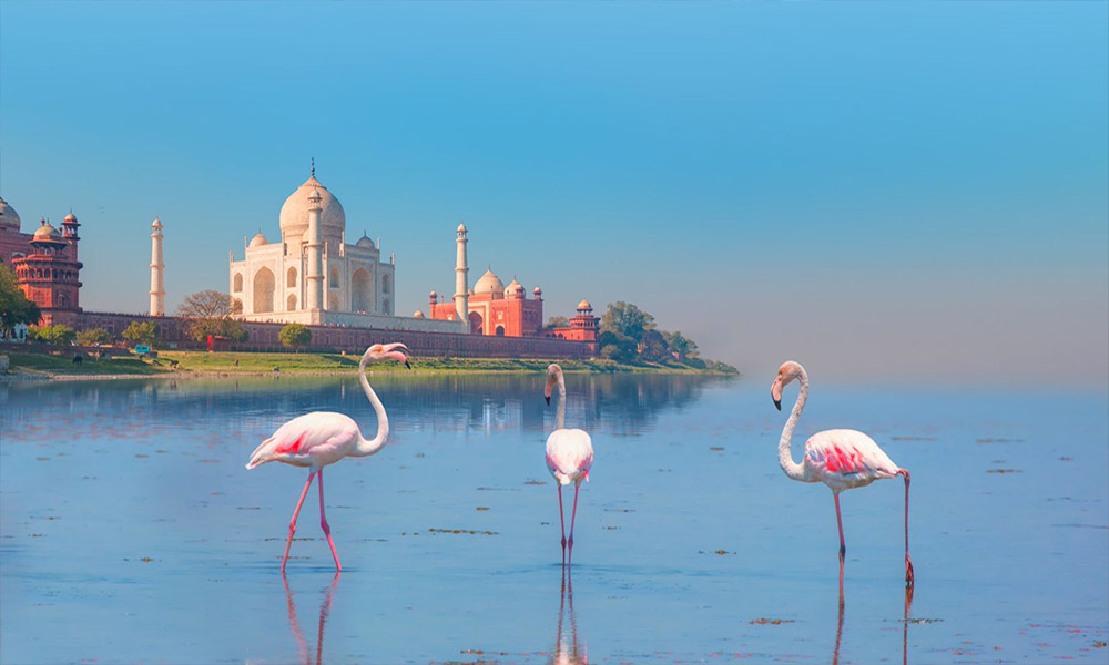 Top 10 Things to do in Agra to Explore the Beauty of Taj